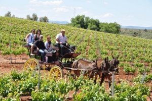Enogastronomic Spring