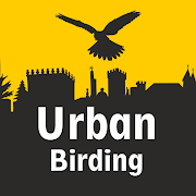 Urban Birding