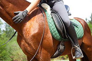 Extremadura Activa, Asociación de empresarios de Turismo Activo, Ocio y Tiempo Libre de Extremadura