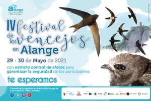 Festival de los Vencejos 2021