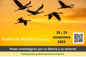Birding Puebla