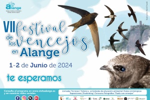Festival de los Vencejos