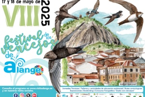 Festival de los Vencejos