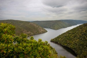 Tajo Internacional - Reserva de la biosfera