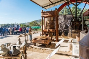 Ruta del Aceite