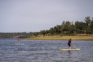 B_Paddlesurf