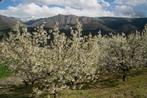 ¡Vive la primavera!