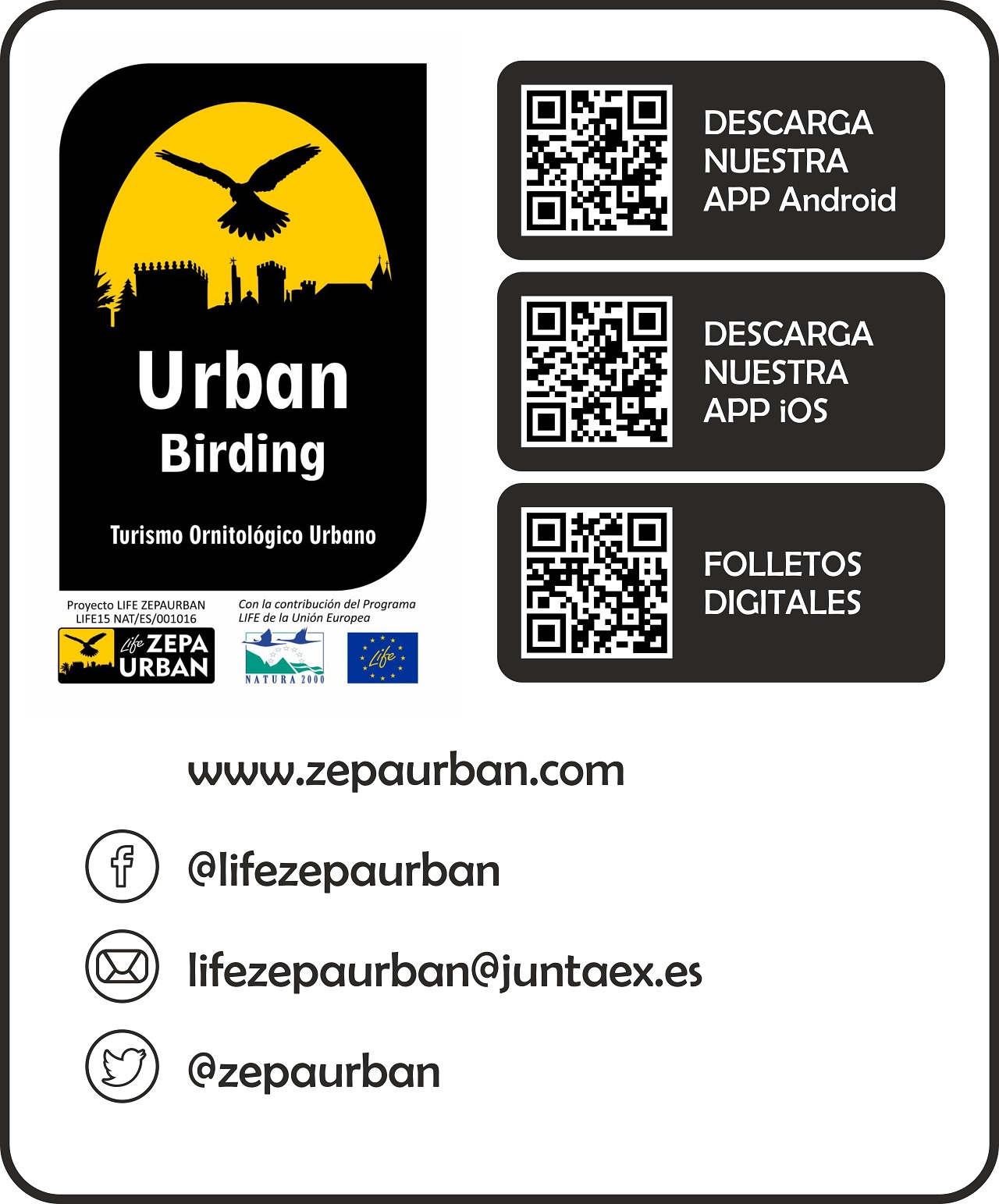 QRs Urban Birding