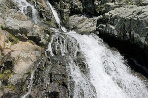 B_LaDesespera