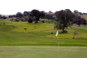 Don Tello Golf