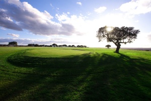 Galisteo Golf