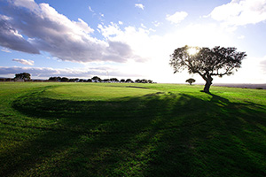 Galisteo Golf