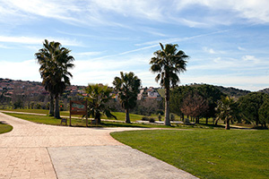 B_NORBA_CLUB_GOLF_02
