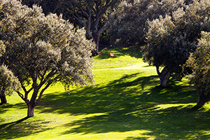 B_NORBA_CLUB_GOLF_05