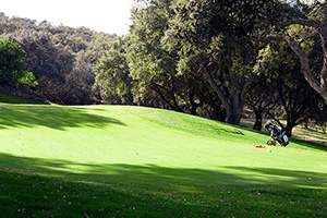 B_NORBA_CLUB_GOLF_06