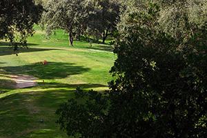 B_NORBA_CLUB_GOLF_08