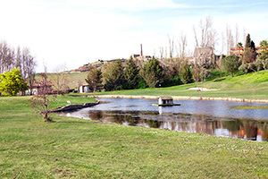B_NORBA_CLUB_GOLF_09