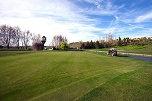 B_NORBA_CLUB_GOLF_10
