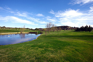 B_NORBA_CLUB_GOLF_11