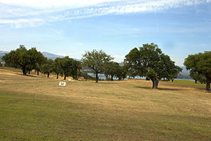 B_PARRALUZ-GOLF_02
