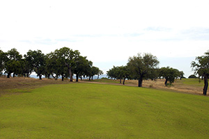 B_PARRALUZ-GOLF_05