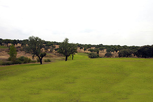 B_PARRALUZ-GOLF_06
