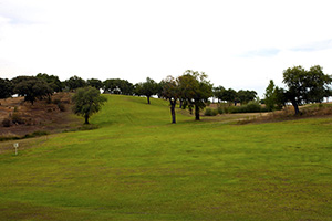B_PARRALUZ-GOLF_08