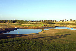 B_QUINTO_COTO_GOLF_04