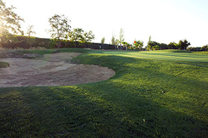 B_QUINTO_COTO_GOLF_05