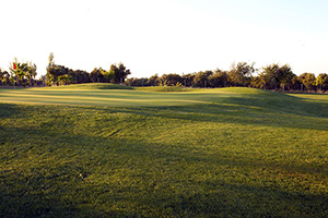 B_QUINTO_COTO_GOLF_06