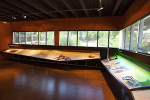 Centro de Interpretación de la cueva de Maltravieso