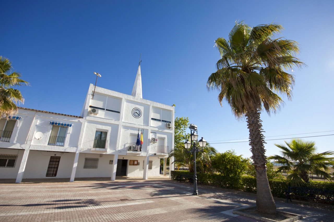 San miguel de abona para solteros