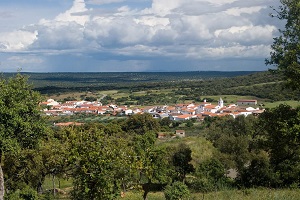 Carbajo