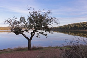 B_PARQUE_NATURAL_CORNALVO_09