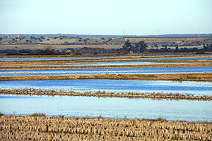 Moheda Alta Periurban Conservation and Recreation Park