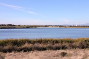 Arrocampo reservoir