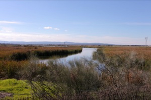 B_PARQUE_ORNITOLOGICO_EMBALSE_ARROCAMPO_03