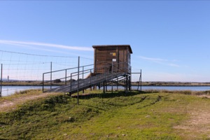 B_PARQUE_ORNITOLOGICO_EMBALSE_ARROCAMPO_04