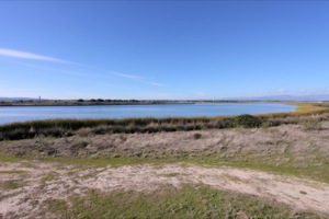 B_PARQUE_ORNITOLOGICO_EMBALSE_ARROCAMPO_06