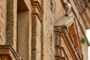 ZEPA Colonias de Cernícalo Primilla de Cáceres