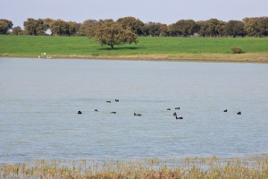 Llanos Y Complejo Lagunar De La Albuera SPA