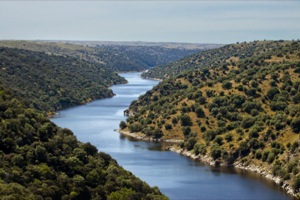 B_ZEPA_RIBEROS_ALMONTE_06