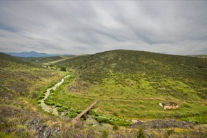 Sierra De Las Villuercas Y Valle Del Guadarranque Special Protection Area (SPA) for Birds and Site of Scientific Interest (SSI)