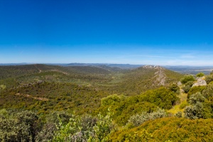 ZEPA y LIC Sierra De San Pedro