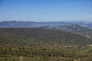 B_ZEPA_SIERRA_SANPEDRO_05