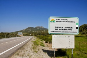 Sierra Grande De Hornachos Special Protection Area (SPA) for Birds and Site of Scientific Interest (SSI)