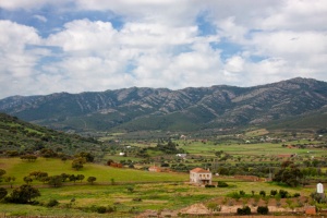 Sierras De Peñalsordo Y Capilla Special Protection Area (SPA) for Birds