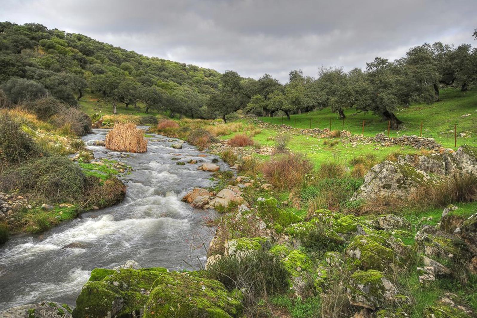 Parque temático natural Alqueva