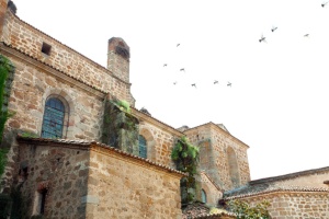 Plasencia and El Cachón Lesser Kestrel Colonies SPA