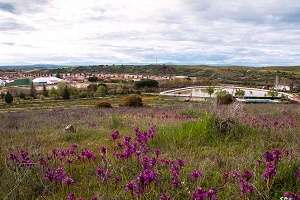 Cerro Tomillar